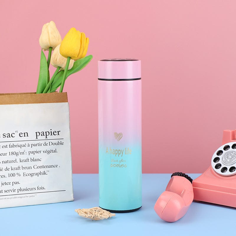 Approx 500ML Temperature Display Stainless Steel Bottle – A Happy Life Smart Thermos